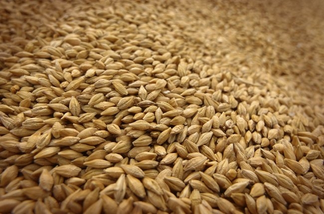 Серед закуплених Єгиптом 180 тис. тон пшениці російської немає