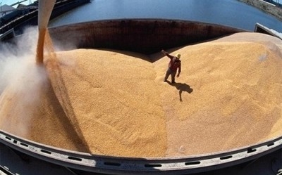 Україна експортувала більше 27 млн. тон зерна