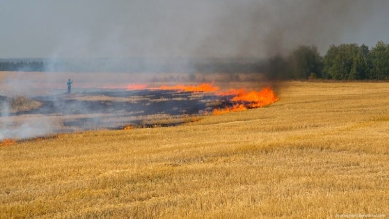 Від російських обстрілів на Херсонщині згоріло понад 5 тис га зернових, що вже перевищує втрати минулого сезону