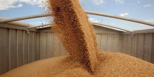 Зернотрейдерам до кінця березня можна експортувати ще 760 тис. тон продовольчої пшениці