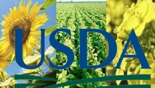 USDA підвищив прогноз світового виробництва олійних культур, зокрема врожаю соняшнику в Аргентині та Україні, але знизив прогноз урожаю сої 