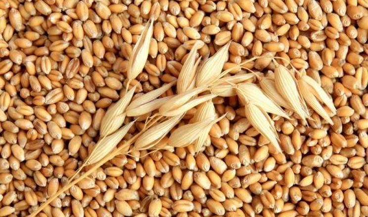 Barley prices in Ukraine are falling due to lack of export demand, but world quotes are supported by rising prices at the Tunisian tender 