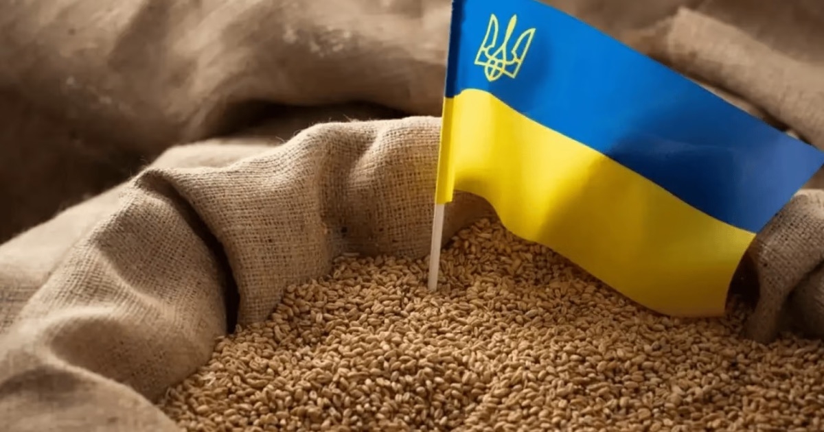 Іспанія вимагає обмежити імпорт зерна з України