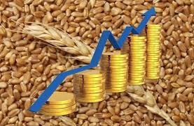 Wheat stock prices ended the week with rapid growth