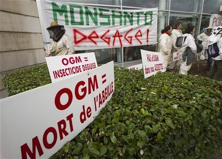 Франція противник вирощування ГМО
