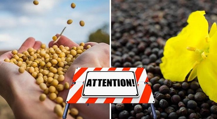 Аграрії зможуть підтверджувати походження ріпаку та сої через ДАР, а сплачені мита їм відшкодують