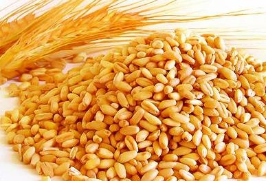 Ціни на пшеницю падають в США та ЄС, проте стабільні в Україні