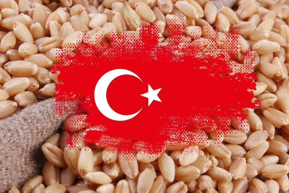 FAS прогнозує, що Туреччина у 2026/27 МР збере рекордний урожай пшениці