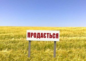Мораторий на продажу сельхозземель в Украине будет продлен