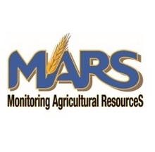За прогнозами «MARS» в Європі скоротиться урожай пшениці та ячменю і збільшиться кукурудзи