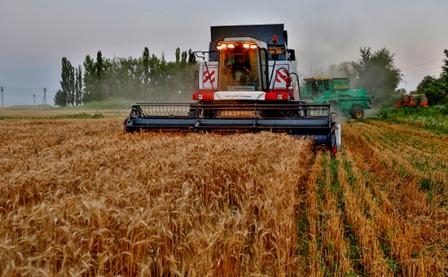 Poor quality wheat in the United States supports the Chicago stock exchange