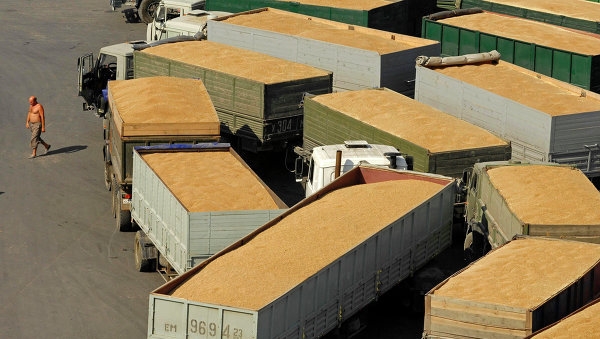 Експорт зерна з України за 2014/15 маркетинговий рік становить 25,7 млн тонн - МінАПП України