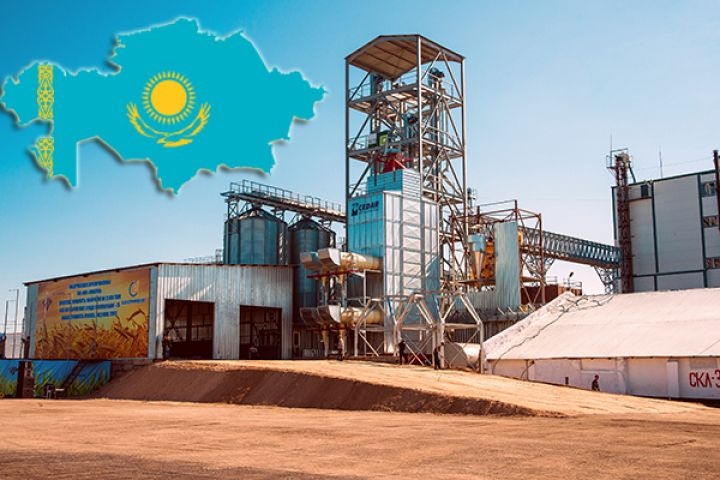 Казахстан у 2025 році зібрав рекордні урожай зернових та олійних культур