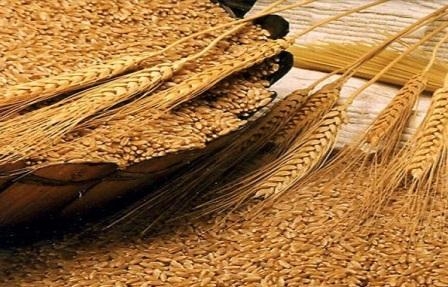Пшениця в США дешевшає, хоча попит на причорноморське зерно високий