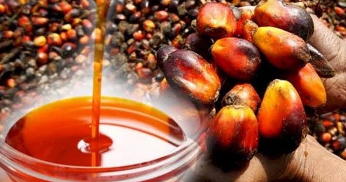 Palm oil prices rise on oil, but high stocks in Malaysia hold back further growth