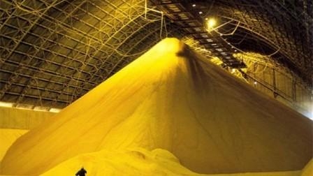 Світові ціни на зерно впали до 10-річного мінімуму – FAO