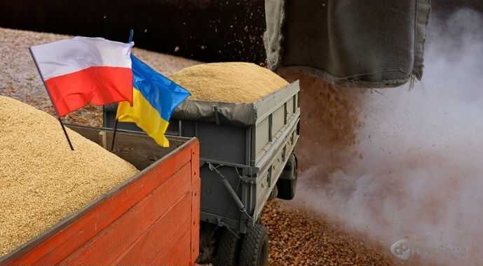 Украинские экспортеры ожидают от Польши ускорения транзита зерна