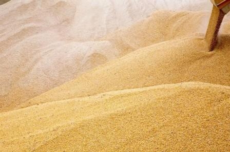 Іран може обвалити ціни на пшеницю