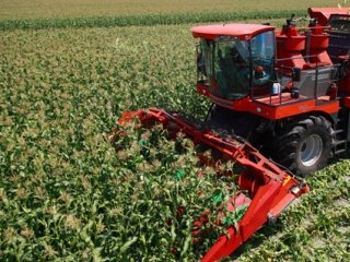 В сезоні 2016/17 МР Україна експортувала 19 млн. т зерна