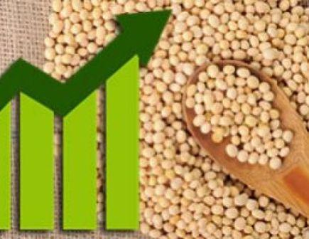 Prices for soybeans rose for lingering precipitation in the United States 