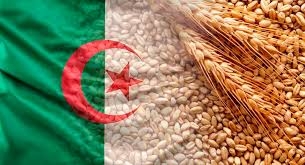 Алжир приобрел большую партию аргентинской пшеницы по более низкой цене, чем в декабре