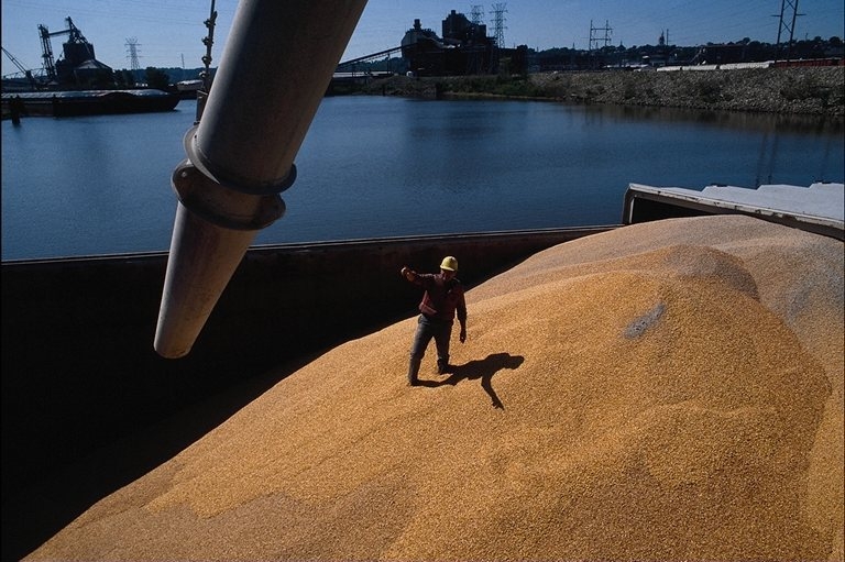 Експорт: в порівнянні з минулим роком ціни на пшеницю знизилися на 25%