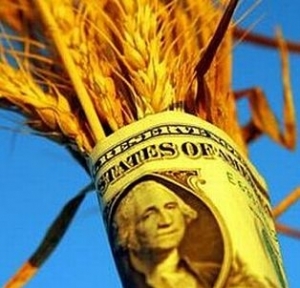 Нові напрямки експорту дозволять Україні збільшити продажі зернових