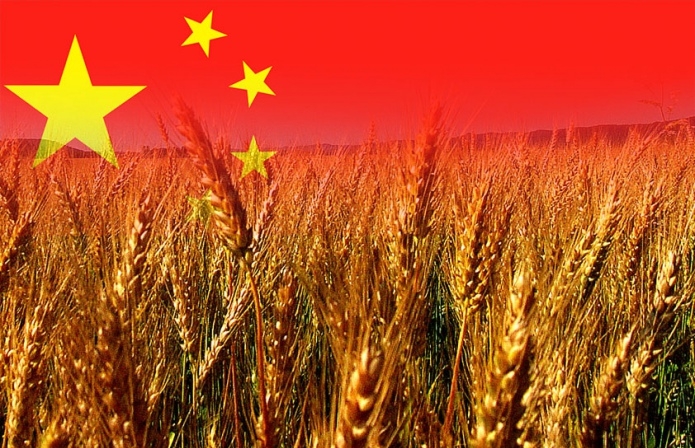 China is stepping up imports of grain and oilseed crops against the background of falling global prices