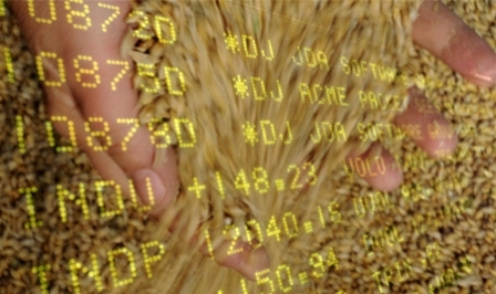 Пшеничні котирування падають слідом за цінами на сою та кукурудзу