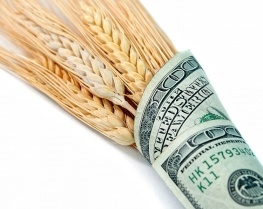 Незважаючи на падіння виробництва світова ціна пшениці зменшиться