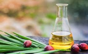 EU to allow Indonesia to supply palm oil at zero rate