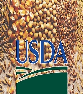 The forecast of world soybean production and consumption in China have increased in the new USDA report