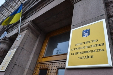 В Україні розробляють нові стандарти на пшеницю