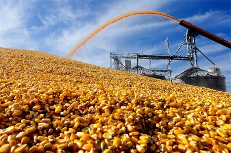 Buyers of corn are in no hurry to pay more