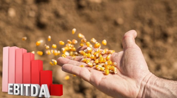 Рентабельність основних агрокультур в Україні у 2023 р перевищила прогнозовану