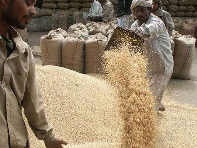 Пшениця з Росії перемогла на тендері в Єгипті