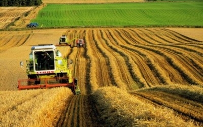 ПроЗерно прогнозирует рекордный урожай и экспорт российского зерна