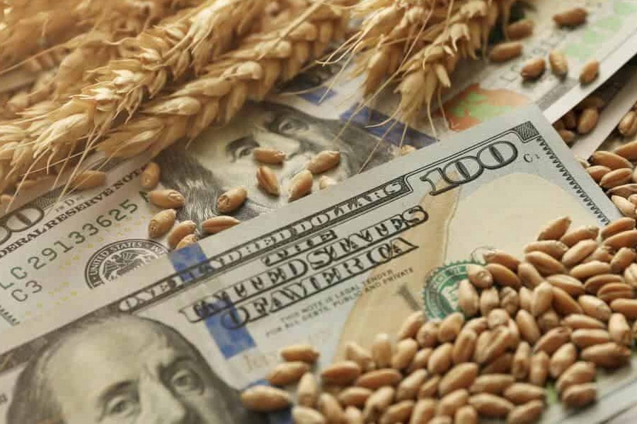 Wheat prices in Ukraine remain under pressure from rising logistics costs, while stock market quotes have risen slightly