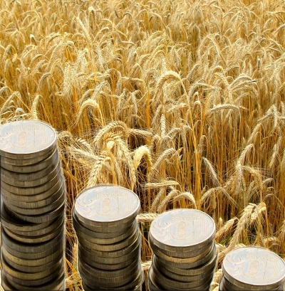 The Ministry of agriculture of Russia plans from September 15 to zero export duty on wheat