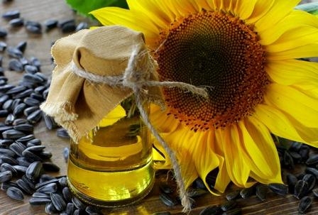 Світові ціни на соняшник та рослинні олії стабілізувалися