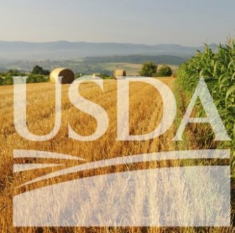 The USDA increased its forecast of wheat production and reduced the rating balances