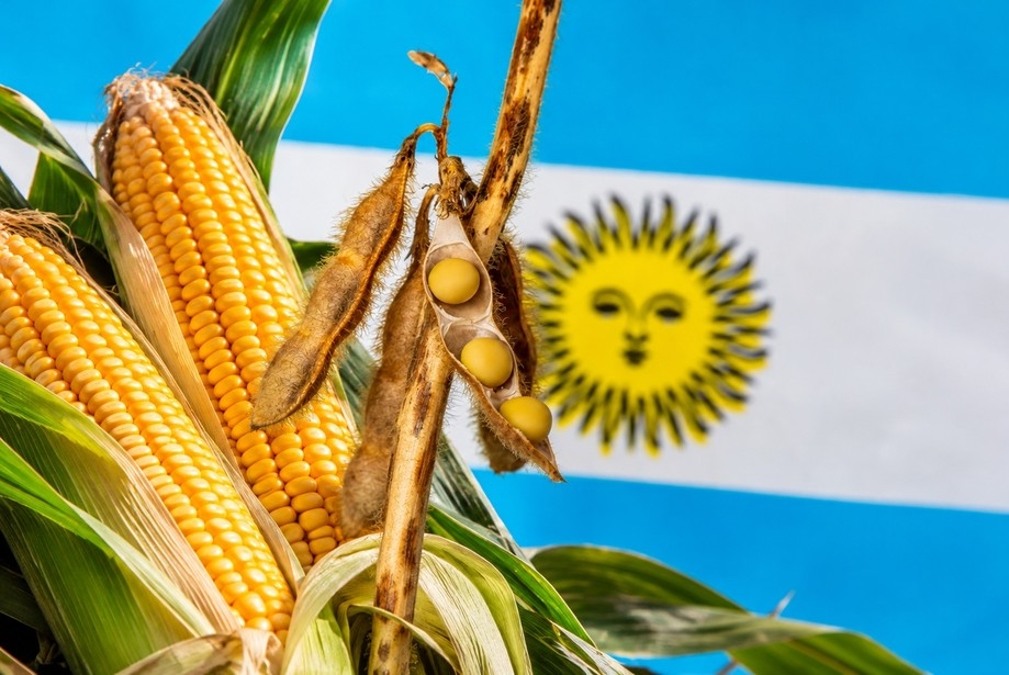 Argentina increases soybean and corn exports amid supply problems from Ukraine