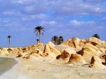 Туніс закупив 75 тис. тон ячменю та 117 тис. тон пшениці
