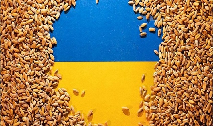 Експерти Української зернової асоціації підвели підсумки сезону 2025/26