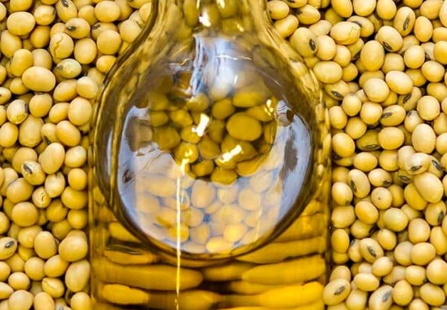 Soybean oil and meal futures in China fell to 6-month lows