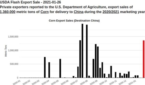 China's purchase of a large consignment of U.S. corn has led to another jump in prices 
