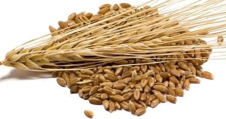 Рынок пшеницы в США находится под сильным давлением