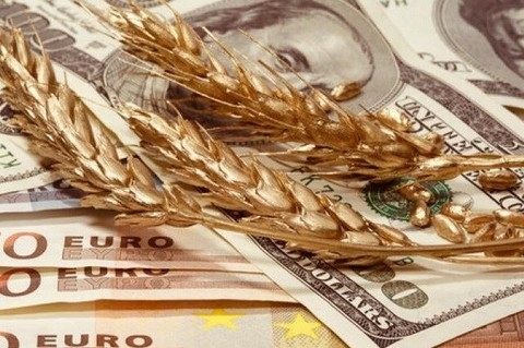 Закупочные цены на пшеницу в Украине снова растут, но только из-за роста курса доллара