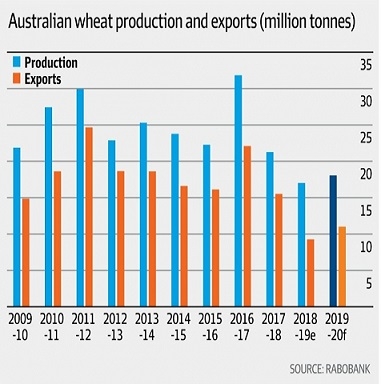 Rabobank expects low grain harvest in Australia 