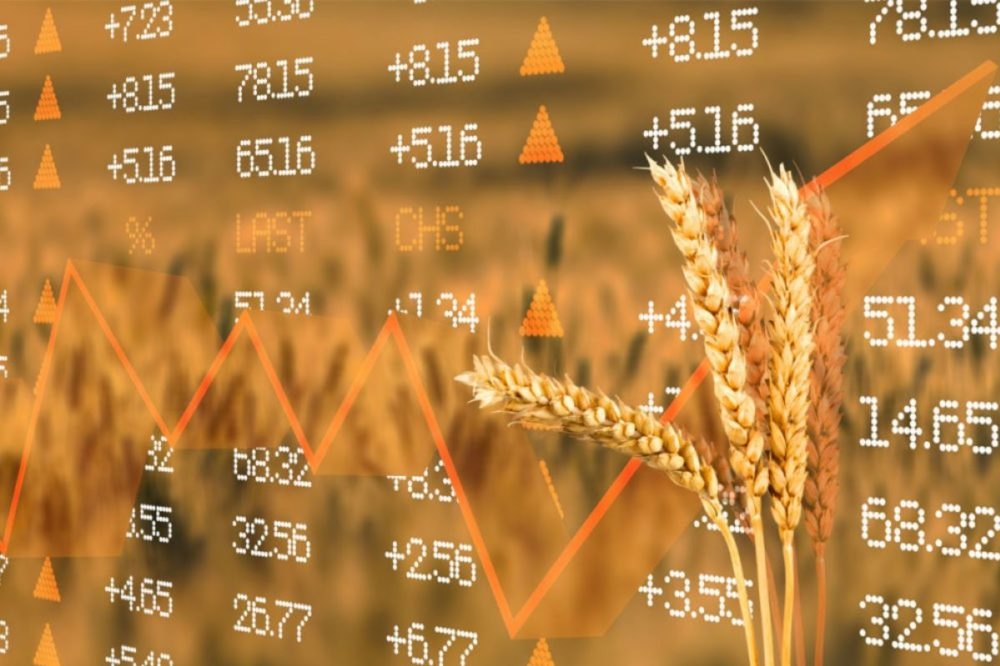 Котирування на пшеницю впали ще на 1,8-2%, загалом знизившись на 6,5-8,2% за тиждень через новини з Туреччини та Єгипту